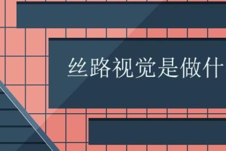 丝路视觉是做什么的