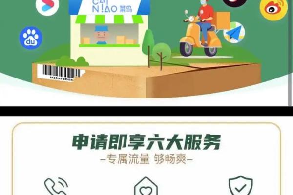 骑士卡丢了还能补办吗