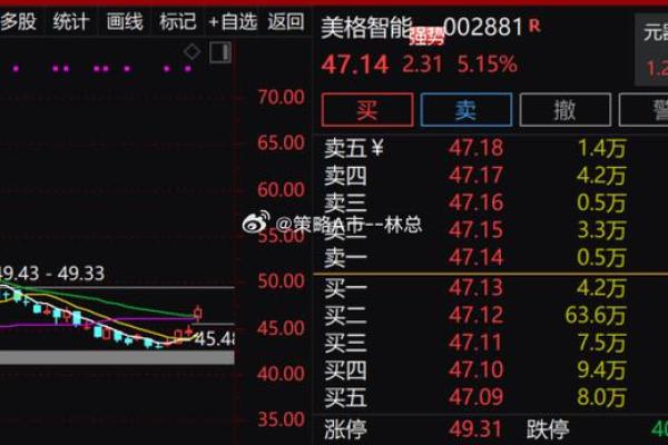 美格智能是做什么的