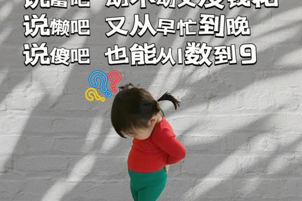 胖子有钱怎么还款