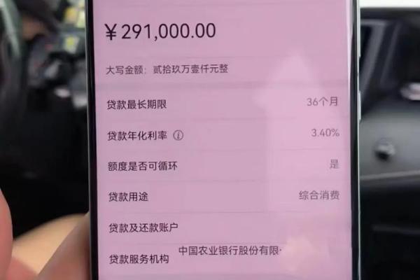 什么贷款额度大