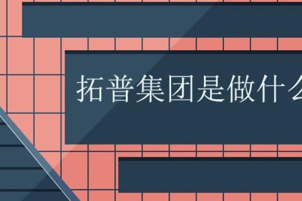 拓普集团是做什么的