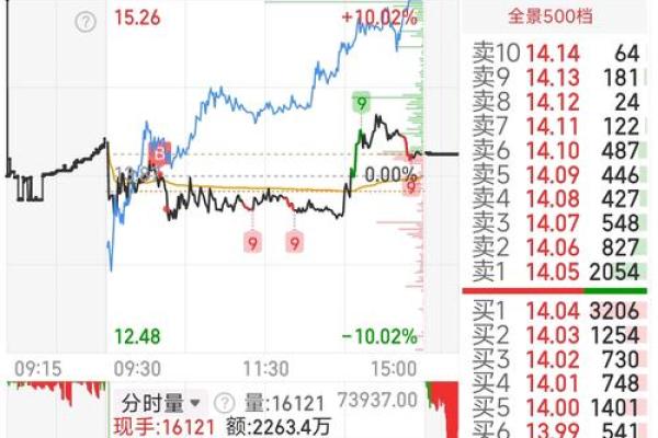 红宝丽股票是做什么的