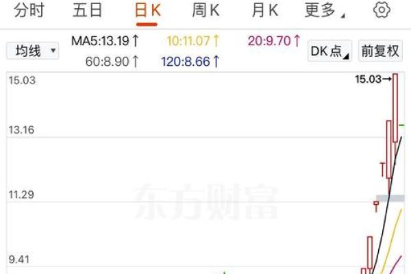 红宝丽股票是做什么的
