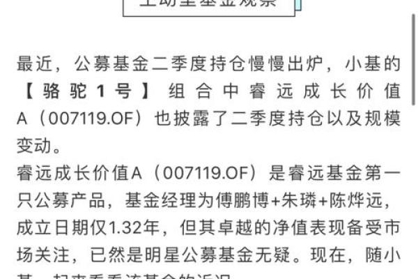 睿远基金在哪里买