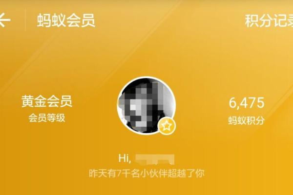 蚂蚁积分可以贷款吗