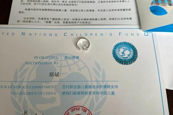 如何加入联合国儿童基金会
