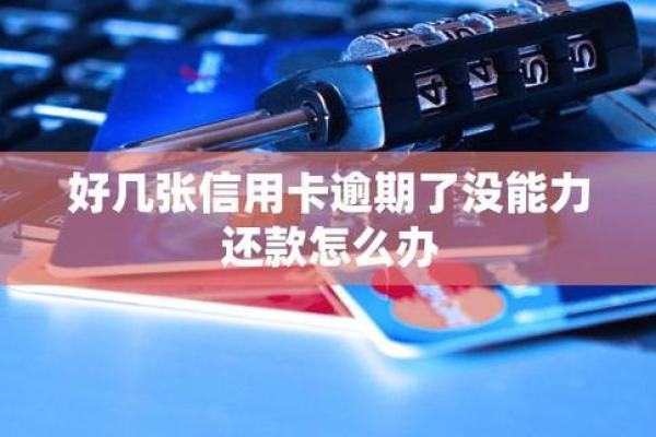 期待合伙人无法还款怎么办