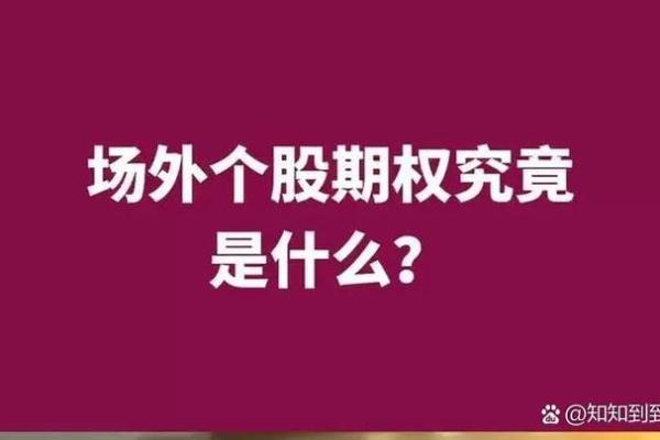 什么叫期权股