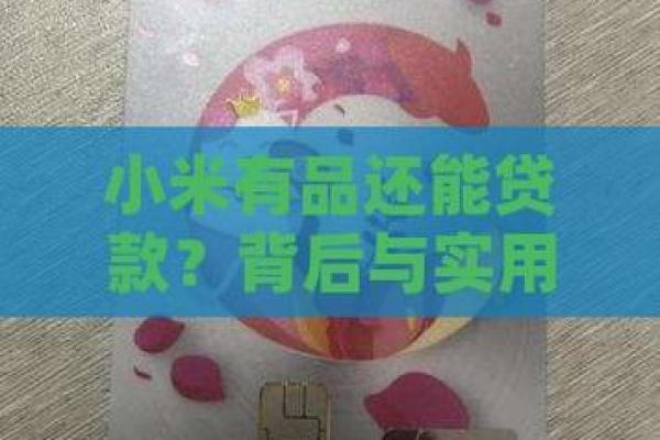 小米贷款利率