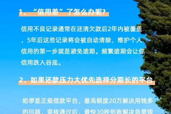 微信信用分能干嘛