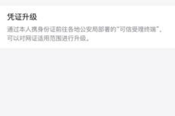 支付宝电子身份证明有什么用