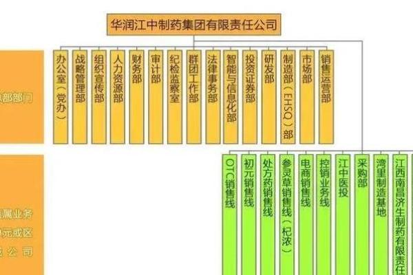 江中安可属于江中吗