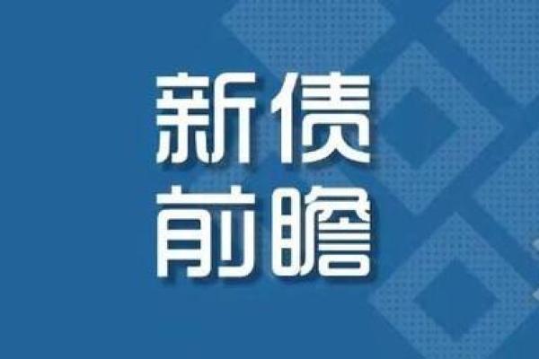 盛泰申购是做什么的