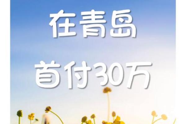 首期全额收手续费什么意思