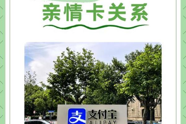 支付宝支付力是什么