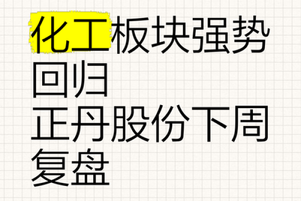 正丹股份是做什么的
