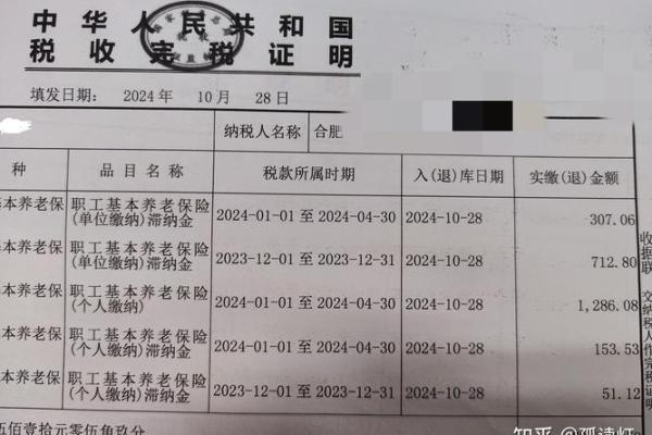 滞纳金什么意思不交可以吗