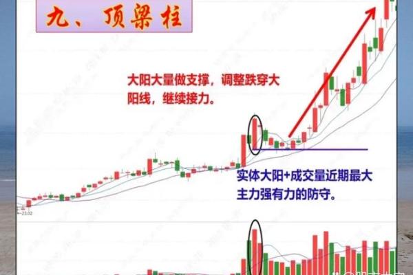 黑五类股票指的是什么