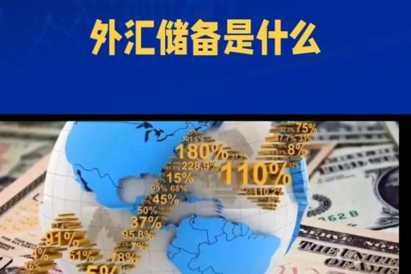 什么是外汇储备