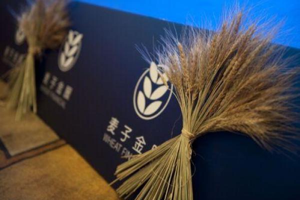麦子金服逾期上征信吗