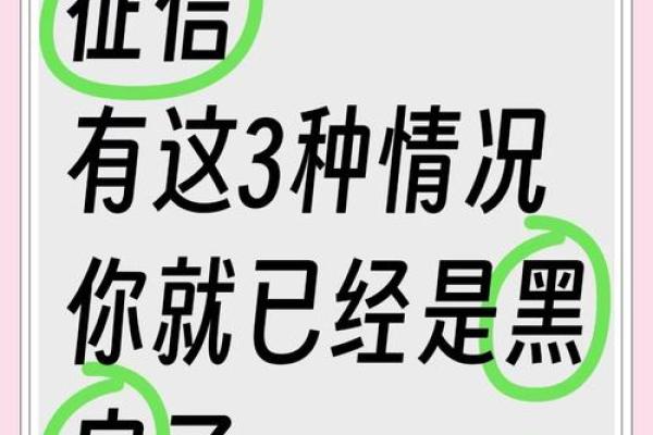 黑户什么意思