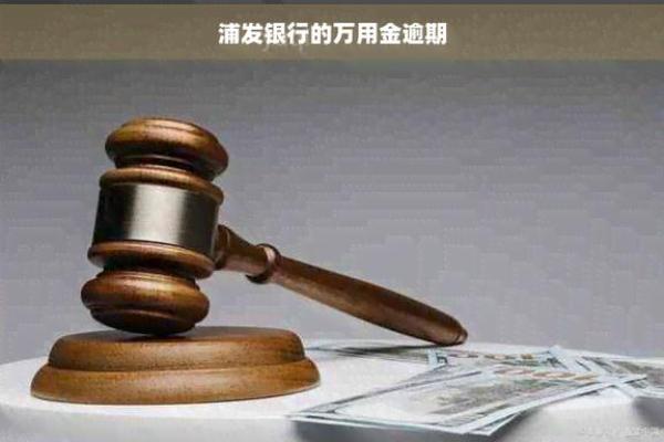 浦发信用卡万用金不还会怎么样