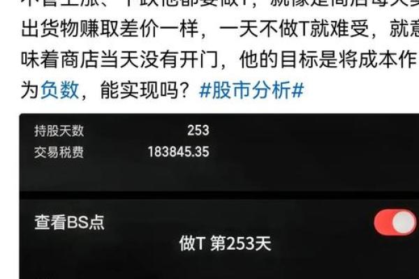基金做t是什么意思-