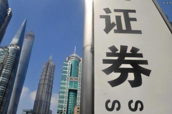 什么是证券公司