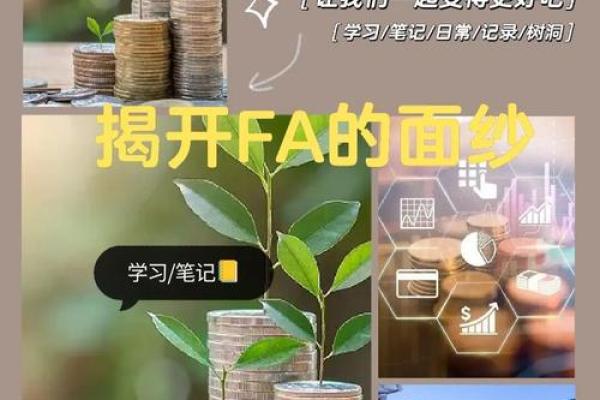 投资行业fa是什么意思