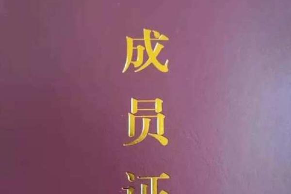 农村集体资产什么意思