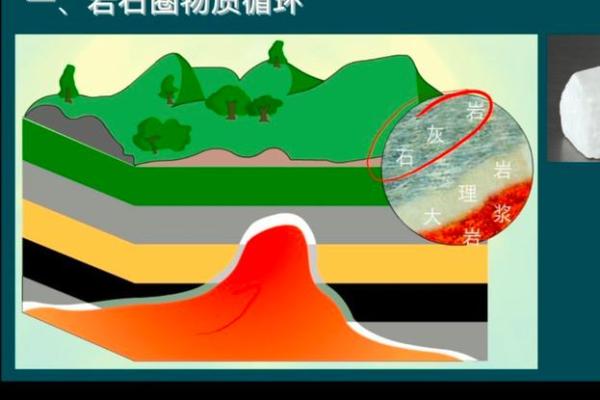 科力尔是什么板块