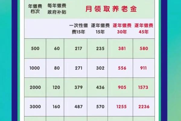 养老保险个人缴费比例