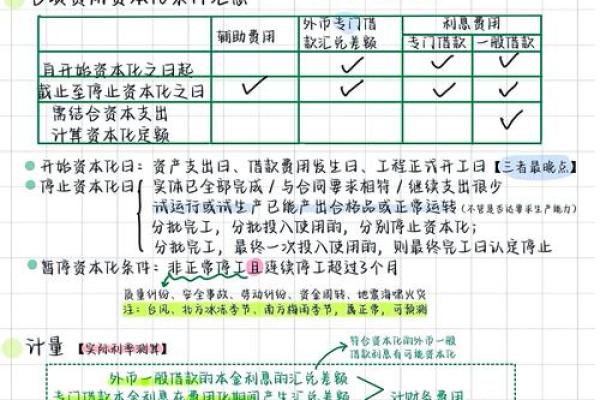 资本化是什么意思-