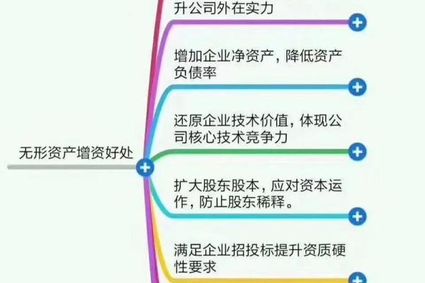 资本化是什么意思-