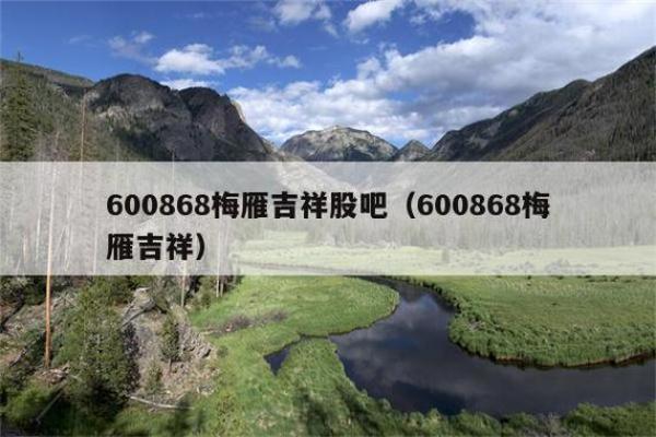 梅雁吉祥股票是做什么行业的