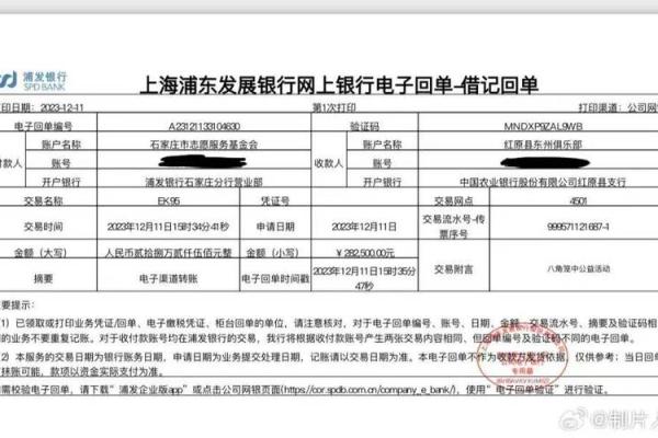 银行卡电子账户是什么