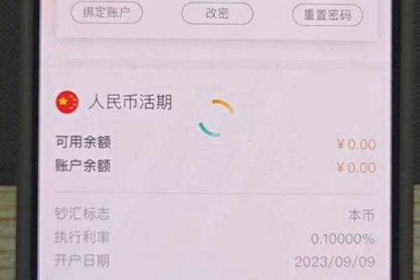 银行卡电子账户是什么