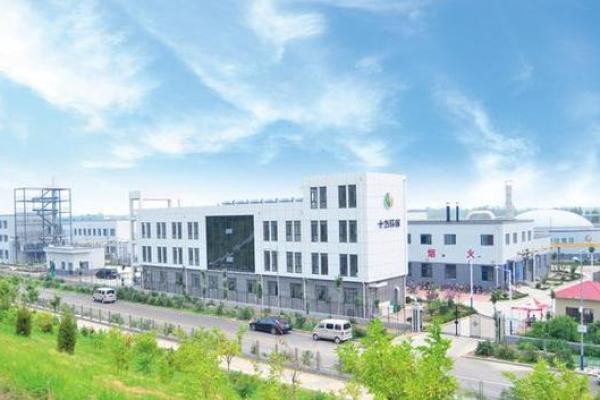 鲁信创投投资哪些公司