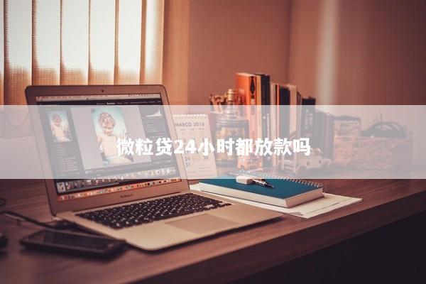 微粒贷24小时都放款吗