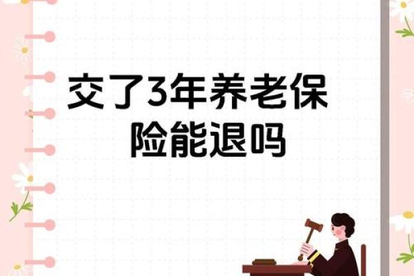 买了三年保险能退多少