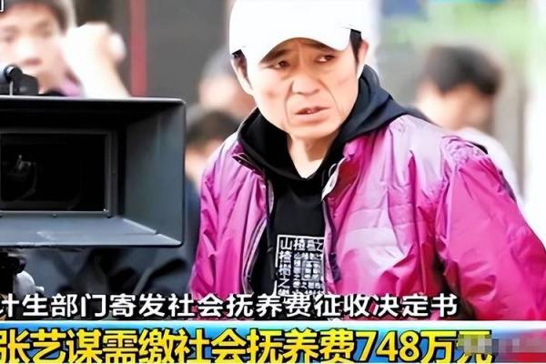 社会抚养费是什么意思