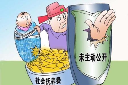 社会抚养费是什么意思
