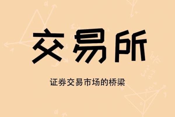 证券公司是干什么的