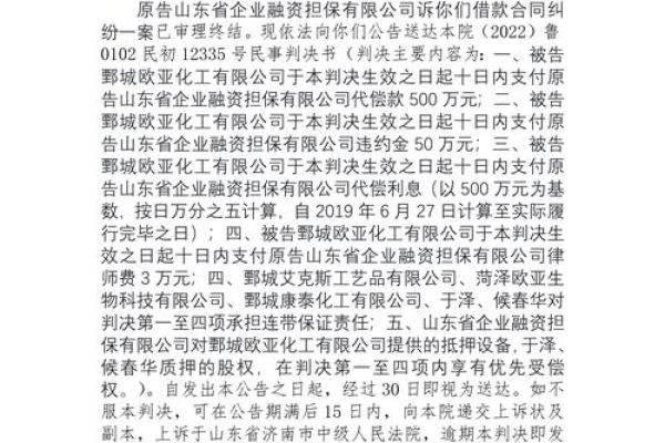 维仕担保代偿后怎么处理