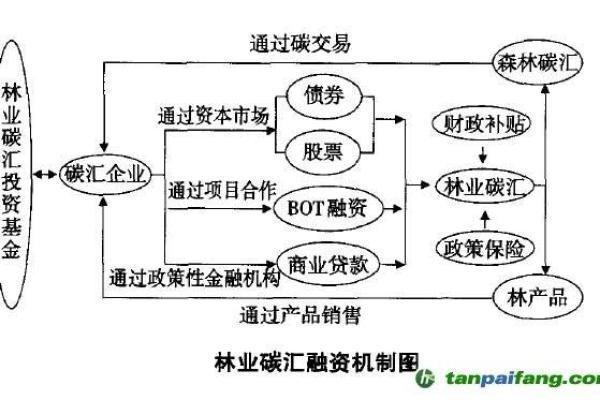 林业碳汇怎么交易