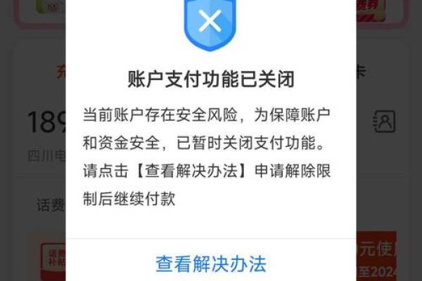 支付宝未入账什么意思