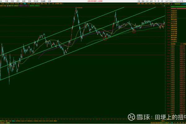沪深股票怎么区分