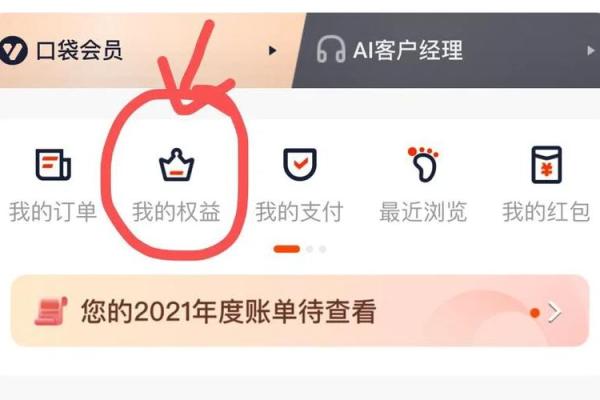 平安银行赊呗提不了款