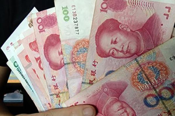 险资是什么意思